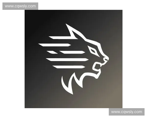 山猫体育直播全新升级打造极致赛事体验尽享热血竞技时刻