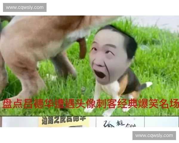 笑笑鬼畜名场面重现全场爆笑观众狂欢燃爆整个峡谷 笑笑鬼畜名场面重现全场爆笑观众狂欢燃爆整个峡谷